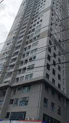 A casual Nha Trang morning: streets, pets, and street-side life