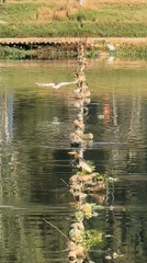 Peaceful lakeside moments captured in Da Lat Vietnam