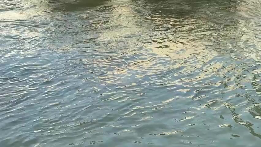 The video shows a close-up of flowing water. In the background, two large pipes are visible, one made of concrete and the other of metal. Water is seen flowing out of both pipes into the main body of water. The water appears somewhat murky. The environment seems to be outdoors, likely near a river or stream. There are rocks and some debris around the pipes. The camera focuses on the movement of the water, with the pipes serving as the background element.