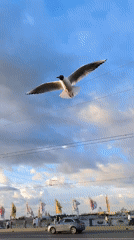 River waterfront scenes captured across hour-long timespan June 9