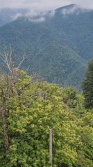 Green mountain slopes and layered ridgelines near Milisi, Georgia