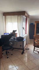 Gunfire incident reported at Bragança residence