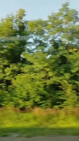 The video shows a roadside view from a moving vehicle. Green trees line the right side of the road, some appearing blurred due to motion. In the distance, a bright blue sky is visible. The scene transitions to show a road with trees and bushes. Further along, there's a structure that appears to be under construction or abandoned, with scaffolding and construction equipment, including a yellow tractor, present. The view remains of the roadside landscape with trees, fields, and a clear sky.