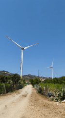 Wind turbines spotted in rural Vietnamese landscape