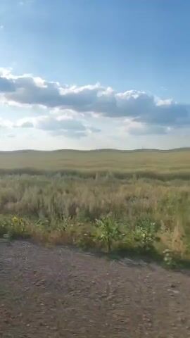 A vertical, stabilized video displays a view from a moving vehicle traveling along a dirt road. The road is in the foreground, and beyond it are fields of tall grass and wheat under a bright blue sky with scattered white clouds. The sun is shining, casting light on the landscape.