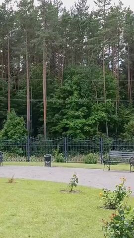 The video begins with a view of a park-like setting featuring a gravel path, grass, rose bushes, a wooden bench, a lamppost, and a fence. Behind the fence, there is a dense forest of pine trees. As the video progresses, the camera pans to the right, revealing a paved path, more manicured grass, and several conical evergreen trees. A white building with a fence in front of it appears, followed by a section of a white wall with decorative brown trim. The camera continues to pan, showing a path leading towards an ornate gate with arched openings and large, dark doors. Three people are seen walking through the gate. The scene then shifts to focus on a white building with prominent gothic-style arched windows. Two individuals are walking away from the camera on a gravel path in front of this building, with one of them having blonde hair and wearing a blue shirt and blue pants, and the other having reddish-brown hair tied in a ponytail and wearing a beige top.
