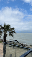 Morning view captured of Batumi's palm-lined seaside promenade