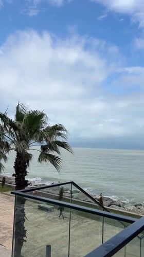 Morning view captured of Batumi's palm-lined seaside promenade