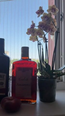 The video displays a close-up, eye-level shot of several bottles and two peaches arranged on a white surface, likely a windowsill. The background consists of a window with vertical blinds creating a grid pattern, through which a bright, possibly daytime sky is visible. To the right, a potted orchid with pale yellow and pink flowers adds a touch of decoration.

The objects are arranged from left to right:

First, a dark-colored bottle, partially visible, with a label that reads "SLANE IRISH WHISKEY TRIPLE CASKED".

Next to it is a clear glass bottle filled with a reddish-amber liquid, identified by a label as "Caleti Amaretto".

Further to the left, another clear glass bottle with a red liquid is visible, with the label "APEROL APERITIVO 1919" prominently displayed.

To the far left, a pale blue bottle is visible, with a label that reads "COCO-JAMBOO COCONUT LIQUEUR".

To the far right, another clear glass bottle filled with an orange-colored liquid is visible, with the label "STOCK FERNET WOOD ORANGE".

Two ripe peaches, one on the left and one on the right of the arrangement, add a natural element to the scene. The lighting appears to be natural, coming from the window, creating soft shadows and highlighting the colors of the liquids and fruits. The overall impression is a still life composition, possibly set up for photography or a casual display.