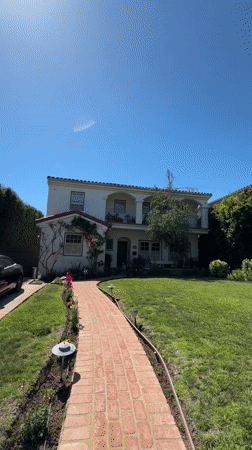 Small dog sits on lawn of Los Angeles home