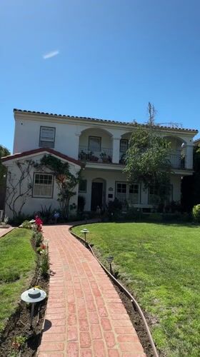 Small dog sits on lawn of Los Angeles home