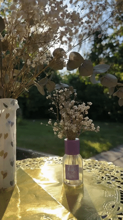 Krefeld garden in summer: flowers, squirrels, and quiet details