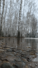 Spring flooding documented across parks and beaches in Chaikovsky, Russia