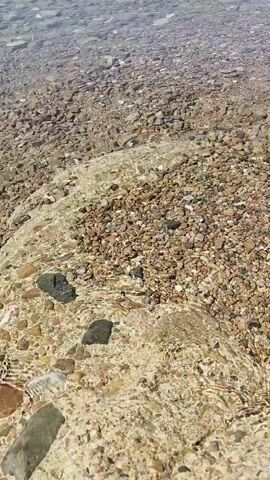The video shows a close-up view of a shallow body of water flowing over a bed of small, smooth stones. The water is clear, allowing the stones beneath to be visible. The stones are various shades of brown, grey, and tan, and they are rounded, indicating they have been shaped by the water's flow over time. The surface of the water is slightly rippled, creating subtle distortions in the appearance of the stones below. The lighting suggests it is daytime, possibly outdoors. The perspective is looking down at the water and the stony riverbed. No people or animals are visible.