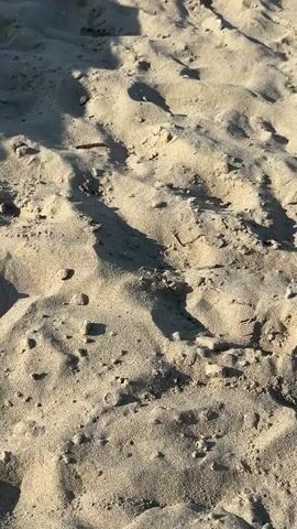 This is a video of a sandy beach in Rimini, Italy. The camera pans across the sand, showing footprints and small rocks. The water is visible in the background, with gentle waves lapping at the shore. There are some large rocks or a breakwater in the distance. The sun appears to be shining, casting shadows on the sand, suggesting it is daytime. The overall mood is peaceful and serene, evoking a sense of relaxation and a typical beach day. There is no visible text in the video.
