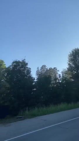 The video captures a perspective from a vehicle moving along a paved road. The scene is dominated by a dense forest of tall, slender pine trees on the right side of the road, with some deciduous trees and shrubs interspersed. The sky is a clear, bright blue, suggesting a sunny day. The time of day appears to be late afternoon or early evening, as indicated by the soft, angled sunlight filtering through the trees, casting subtle shadows.

The road itself is asphalt with white lane markings, implying a somewhat developed area, possibly a highway or a well-maintained country road. The forest is thick and vibrant green, with dry grass and weeds growing along the roadside. There are faint hints of structures or objects partially obscured by the trees in the distance, but they are not clearly discernible.

The video's motion suggests a journey or travel. There are no people or animals visible. The overall mood is peaceful and serene, with the natural beauty of the forest and the clear sky creating a sense of calm. The location context of Kornilovo, Russia, places this scene within a rural or semi-rural environment characterized by extensive woodlands. The media file does not contain any visible text.