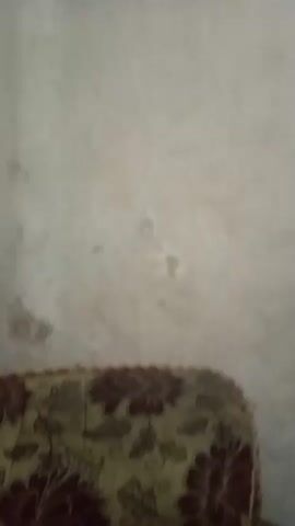 The video displays a close-up view of a wall with framed pictures hanging on it. The wall appears to be discolored and shows signs of wear. In the foreground, a portion of a patterned sofa or chair is visible. The framed pictures show what appear to be family photographs. One frame contains a picture of a person in graduation attire, with other smaller photos inside. Another frame displays what looks like a group of people. A third frame, with a red border, contains what might be a cityscape or building. The lighting in the video is dim, and the camera is not entirely steady.