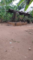 Rural Nigerian village daily life documented in morning hours