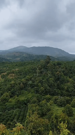 Thôn 1, Vietnam