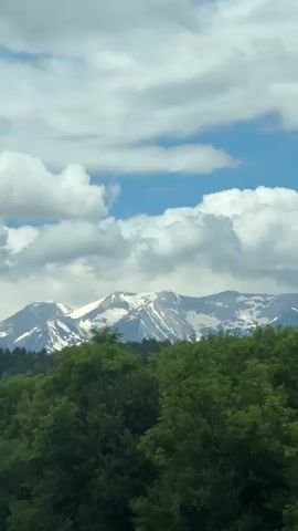 A vertical video displays a landscape scene. In the foreground, lush green trees fill the bottom half of the frame. Behind the trees, a range of mountains stretches across the middle ground, their peaks capped with snow. The sky above is a mix of blue sky and fluffy white clouds. The scene appears to be captured from a moving vehicle, indicated by slight camera shake and the way the trees blur slightly. There are no people or animals visible in the video.