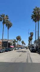 Palm-lined street documented under clear Los Angeles skies