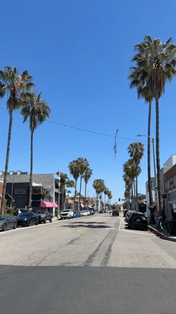 Palm-lined street documented under clear Los Angeles skies