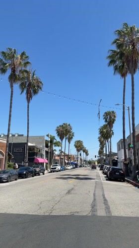Palm-lined street documented under clear Los Angeles skies