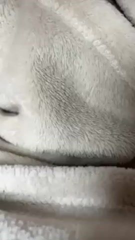 The video shows a tabby cat wrapped in a soft, white blanket. The cat is looking directly at the camera with a slightly sleepy or unimpressed expression. The camera is close-up, focusing on the cat's face and the blanket's texture. The cat is mostly still.