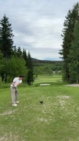 A man is playing golf. He's wearing a white t-shirt and khaki pants and has brown hair. He's on the tee box, facing downhill towards the fairway and the green, with a golf course and forest stretching out in the background. He's just swung his golf club and is watching the ball. The sky is overcast.