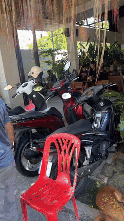 Early morning cafe culture documented in Nha Trang Vietnam