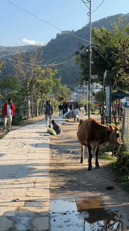 Daily life captured on sunny walkway in Pokhara, Nepal