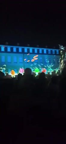 A crowd of people stands in darkness, facing a building illuminated by a light show. The building's facade is covered with projected images of underwater scenes, including schools of fish and colorful coral formations. The projections shift and move, creating a dynamic visual display against the night sky.