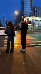 Dusk streets and a Yorkshire Terrier, somewhere in Russia