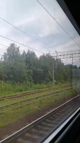 The video shows a view from a train window as it moves through a landscape. The train tracks are visible in the foreground, with green grass and some yellow flowers growing alongside them. In the middle ground, there are more train tracks, and to the left, a dense line of trees. Overhead, there are power lines and electrical infrastructure associated with the railway. In the right-middle ground, a series of freight cars are passing by on a parallel track. These cars are varied in color, with some appearing to be a light green or grey, and others a reddish-brown. The sky is overcast with light clouds. The movement of the train causes a slight blur to the scenery.