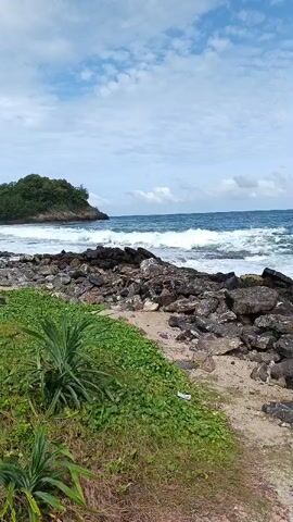 The video shows a rocky shoreline with waves crashing against the rocks. In the foreground, there is green vegetation and some dry grass. In the background, there is a small island covered in trees and the ocean under a cloudy sky. The waves are moderate and appear to be moving towards the shore. The overall scene is natural and undisturbed.
