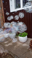 Family garden gathering with bubbles and outdoor activities in Фоки