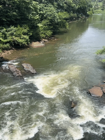 Rapids and bridge views along a forested Sri Lankan river