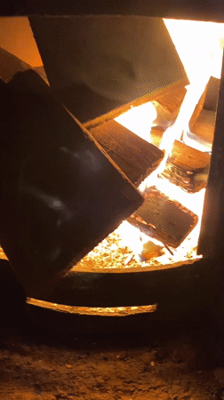 Kittens, dogs, and a banya morning at a Chaikovsky home