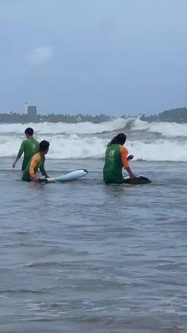 A group of people are in the ocean on surfboards. The water is choppy and there are large waves in the background. The sky is cloudy. Two people in green shirts are further out in the water on their surfboards, and two people are closer to shore. One person in a green shirt and orange sleeves is seated on a surfboard, facing away from the camera. Another person in a green shirt is facing the person on the surfboard, and appears to be interacting with them. The person on the surfboard is holding a paddle. The waves are breaking behind the group. In the distance, buildings and trees can be seen on the shore.