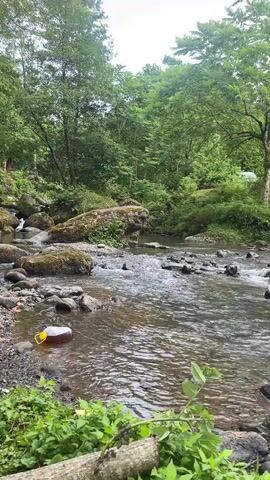 A close-up shot of a body of water flowing between rocks and trees. A yellow bottle with a brown liquid and a white cap is in the foreground. Green plants are visible on the left side of the screen. A hand enters the frame from the left and places a clear plastic container with ice into the frame. The water appears to be a stream or small river, and the environment is lush and green, suggesting a natural outdoor setting. The lighting is overcast, indicating a cloudy day.