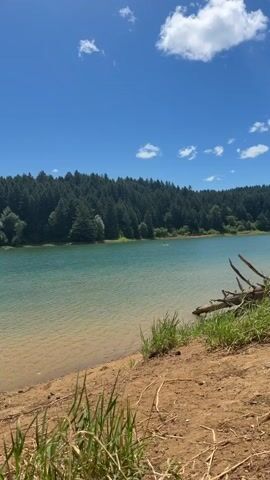 A video shows a body of water with a sandy shoreline and a dense forest in the background under a clear blue sky with scattered white clouds. The camera pans slowly from right to left across the scene. In the distance, a few people can be seen swimming or boating in the water. A few pieces of driftwood are visible on the shore. The overall impression is of a peaceful, natural setting on a sunny day.