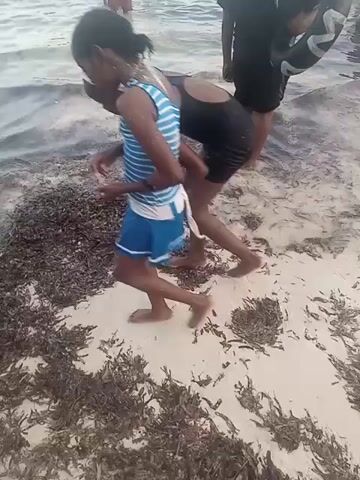 The video shows several people on a sandy beach covered with seaweed. Two young girls, one in a blue-and-white striped top and blue shorts and the other in a black dress, are near the water's edge, stepping through the seaweed. Another person, wearing dark clothing, stands in the water. Other people can be seen in the background, both in the water and on the beach. One person is carrying a black inner tube. The water is slightly choppy and appears to be a dark color.