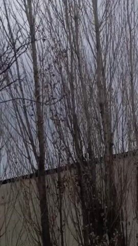 The video shows bare trees with a grey sky in the background. A white wall is seen behind the trees. Then, the camera pans over to reveal a wooden pole with a metal piece attached to it. Finally, the camera pans back to the bare trees. In the background, the sound of something being sanded or grinded is audible.
