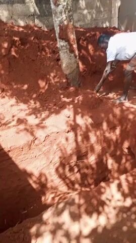 The video shows people digging a hole in red dirt. There is a tree growing out of the ground near the edge of the hole. A concrete wall is partially visible in the background. One person is wearing a white t-shirt and striped shorts, another wears a striped shirt, jeans, and sandals. The hole being dug is large and deep. There are shadows from the sunlight and tree branches on the ground. Voices are singing, either from the individuals or from a recording.