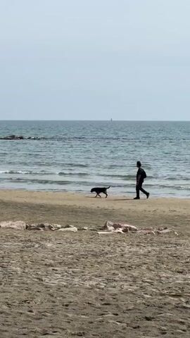 The scene captures a person walking on a sandy beach alongside a black dog. The person, clad in dark clothing and carrying a backpack, strolls along the shoreline, while the dog explores the sand nearby. In the distance, the sea stretches out, with gentle waves lapping at the shore. A line of rocks is visible in the water closer to the beach. The sky is overcast, creating a soft, diffused light.