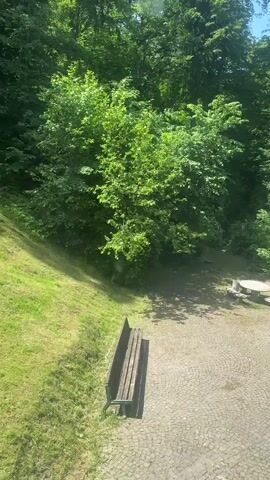 The video presents an elevated view of a wooded park-like area on a sunny day. A wooden bench is in the foreground, resting on a gray, patterned paved surface. To the left of the bench, there is a grassy, sloping area. Further into the frame, there is a round stone picnic table with integrated stone seating. Dense, green trees fill the background, obscuring the sky except for glimpses of blue in the upper corners. In the later part of the video, two people walk past the picnic table. The camera appears to be stationary, viewing the scene from inside a building or structure through a window.
