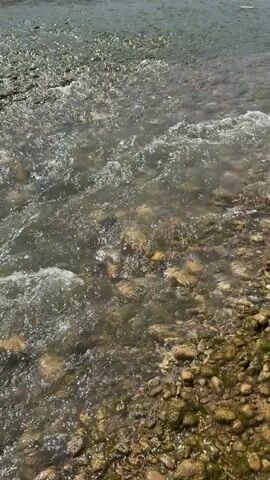 The video shows a close-up view of a shallow, rocky riverbed. The water is clear and moving, with small waves and ripples visible. Numerous smooth, rounded stones of varying sizes are submerged in the water and along the bank, some covered with green algae. Sunlight reflects off the water's surface, creating a shimmering effect. In the distance, the river widens, and the far bank appears to be lined with vegetation. The overall impression is a natural, serene outdoor environment.
