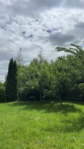 A video shows a backyard with a lush green lawn, various trees and bushes, and a cloudy sky. The camera pans slowly across the scene, offering glimpses of a house partially visible behind the foliage. There are no people or animals visible in the video. The overall impression is of a peaceful, well-maintained outdoor space.