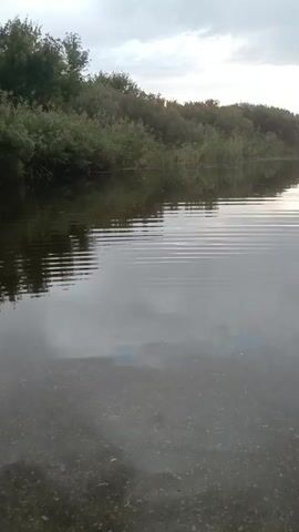 This video shows a wide, calm river with lush green trees and reeds lining the banks. The sky is overcast with some hints of sunlight breaking through. The water is clear enough to see the rocky riverbed. The camera pans slowly across the scene, capturing the reflections of the sky and vegetation on the water's surface.