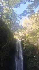 Waterfall captured on video in Venezuelan forest near Caracas